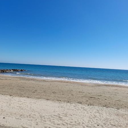 JOLI T2 RDC, BORD DE MER , PISCINE , Aresquiers FRONTIGNAN PLAGE 34 Eksteriør bilde